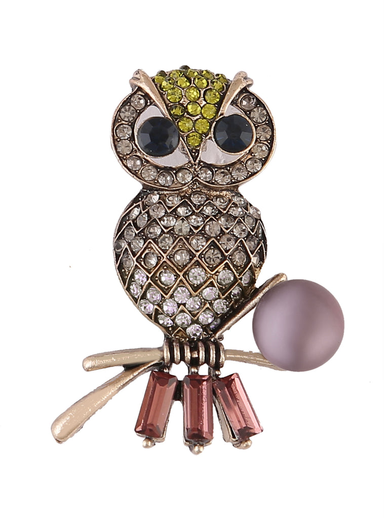 Henri bendel Hazels eyes 2024 owl pin brooch